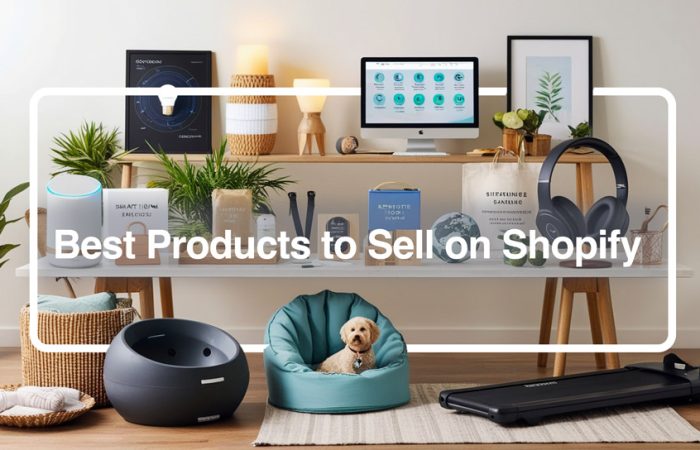 Best Products to Sell on Shopify