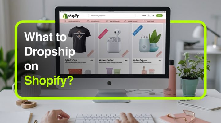 What to Dropship on Shopify